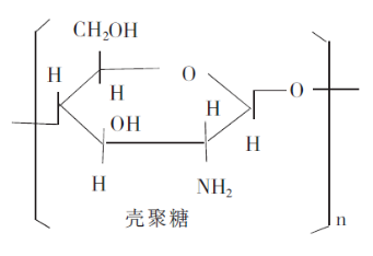 优异的止血材料—壳聚糖