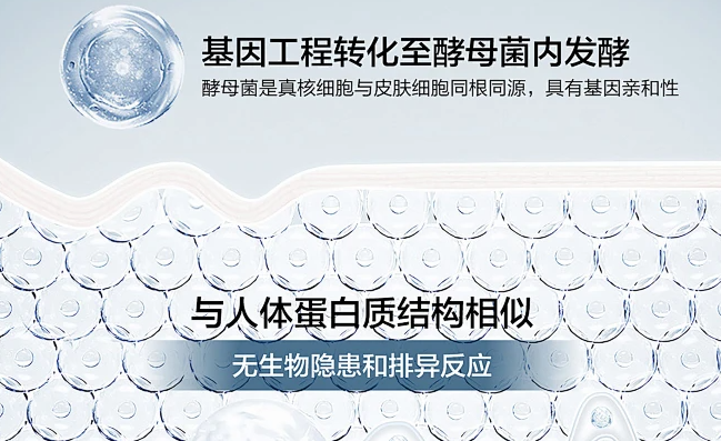 GMP认证+98%同源性！湖南微肽重组胶原蛋白凝胶，定义医用修复新标准