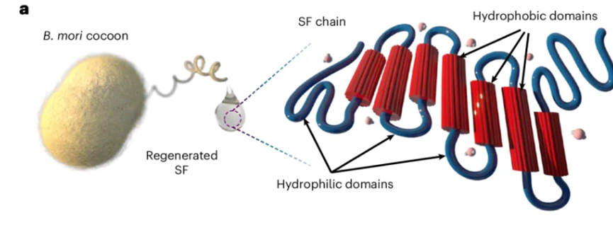 丝素蛋白 | 再生材料又开“卷”了